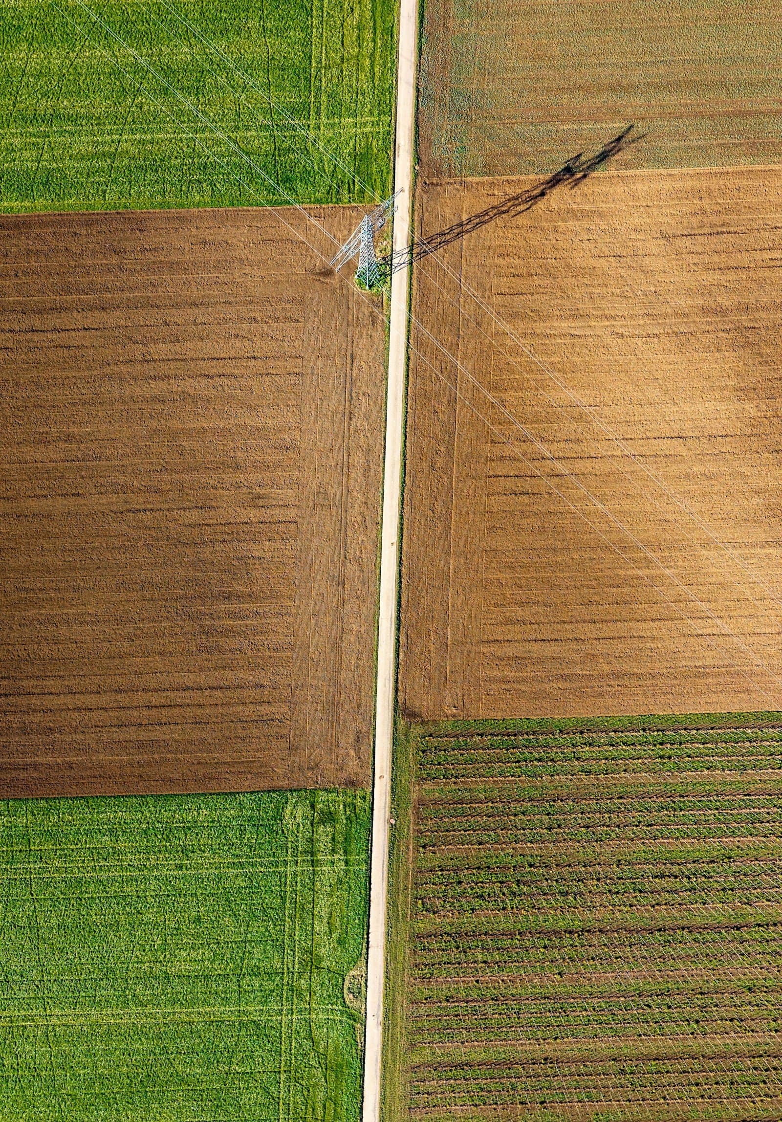 Fermes & Terres agricoles